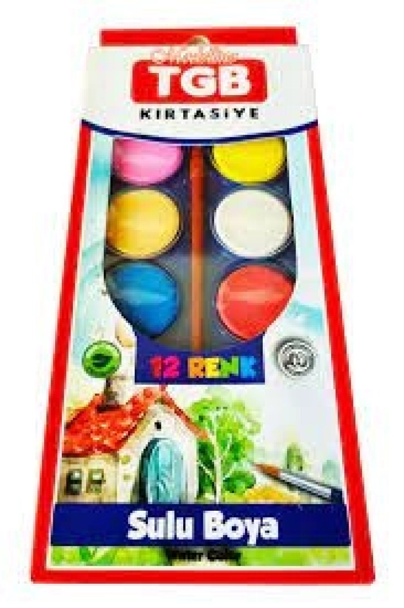 TGB 12 RENK SULU BOYA